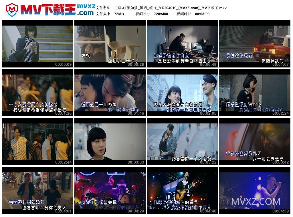 王琪-红颜如梦_国语_流行_MD204019